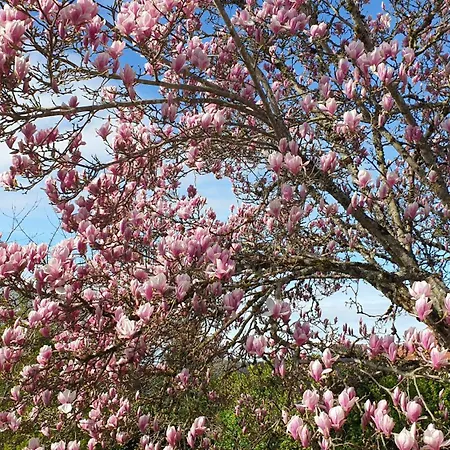 La Maison Barent - Proche Des Grottes De 招待所 胡菲涅克